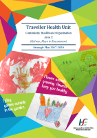 Traveller Health Strategy 2017-2020 CHO 2 image link