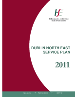 DNE Regional Service Plan 2011 image link