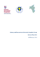 Galway and Roscommon University Hospital Group Service Plan 2013 image link