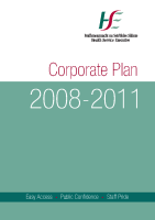 HSE Corporate Plan 2008-2011 image link