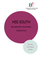 HSE south Implementing the National Service Plan image link