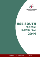 HSE South Regional Service Plan 2011 image link