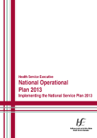 HSE National Operational Plan 2013 image link