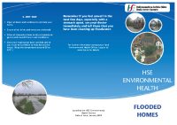 Flooded Homes image link
