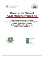National Acute Medicine Programme 2010 image link