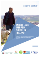 Middle-Aged Men and Suicide in Ireland. -Executive Summary image link