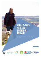 Middle-Aged Men and Suicide in Ireland.- Full Report image link
