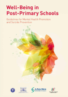 Well being in Post Primary Schools image link