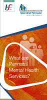 What are Perinatal Mental Health Services image link