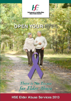 Review of Elder Abuse Services 2013 image link