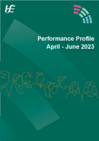 Performance Profile April to June 2023 front page preview
              