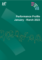 Performance Profile January to March 2023 front page preview
              