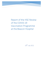 Report HSE Beacon Review image link