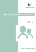 CHO 4 Operational Plan 2017 image link