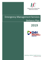 Emergency Management Operational Plan - Delivery Plan 2019 image link
