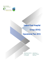 Ireland East Hospital Group Operational Plan - Delivery Plan 2019 image link