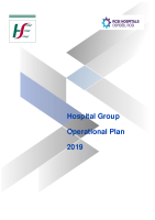 RCSI Hospital Group Operational Plan - Delivery Plan 2019 image link