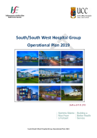 South South West Hospital Group Operational Plan - Delivery Plan 2019 image link