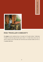 HSE Intercultural Guide: Irish Traveller Community front page preview
              