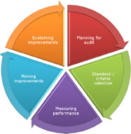 About Clinical Audit - HSE.ie