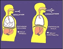 Breathe easier - HSE.ie