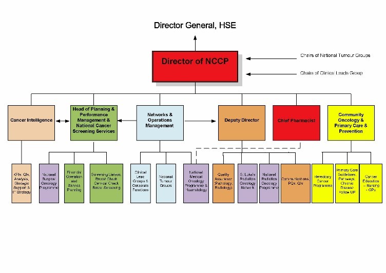 NCCP Structure - Ireland's Health Service