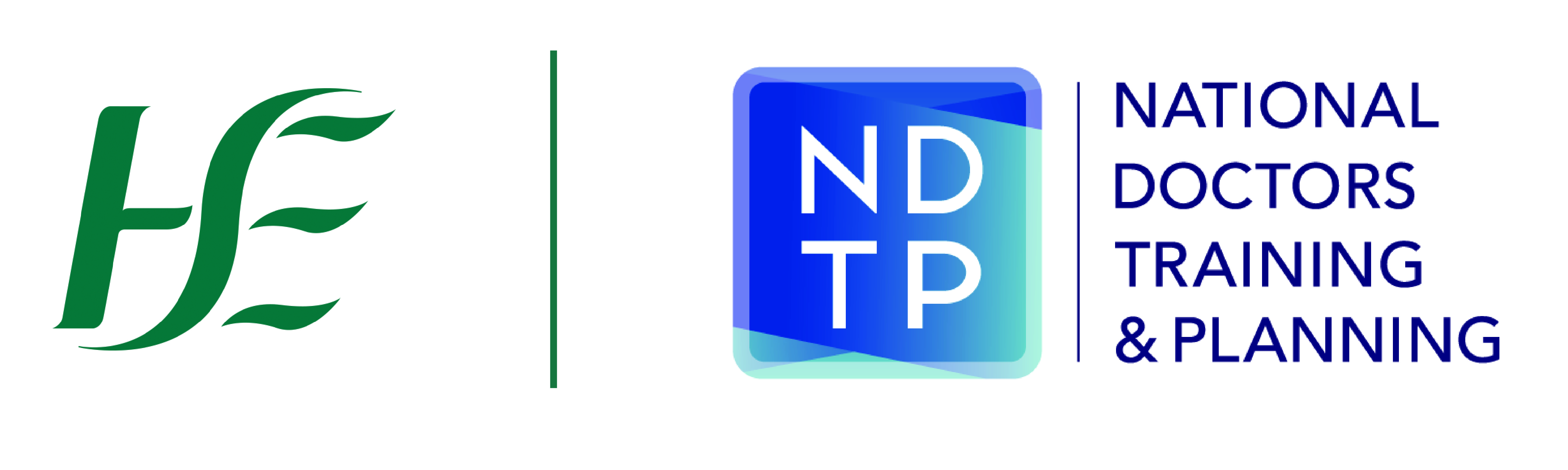 HSE-NDTP-logo-large-print